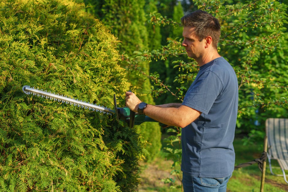 A gardener's hand, wearing a black glove, is seen holding a pair of hedge shears with blue handles, trimming thin, leafless brown branches of a shrub in an outdoor garden setting. The shrub is part of