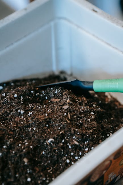 A close-up view of a flower bed in a garden, featuring freshly turned, dark, moist soil with small white perlite particles scattered throughout. The soil is contained within a white concrete or brick
