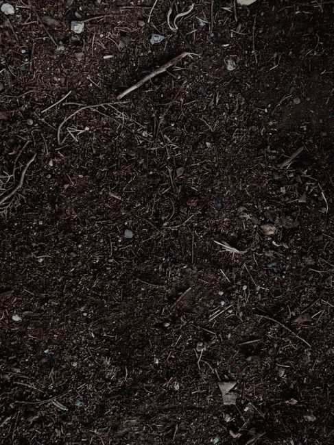 A close-up view of a flower bed in a garden, featuring freshly turned, dark, moist soil with small white perlite particles scattered throughout. The soil is contained within a white concrete or brick